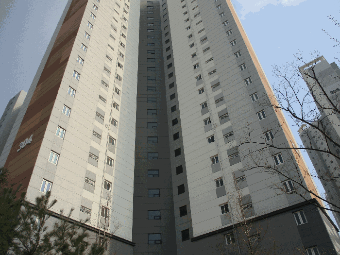 B000253202501300005894.jpg