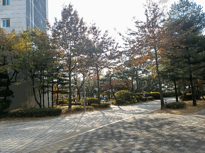 B214807202501300646484.jpg