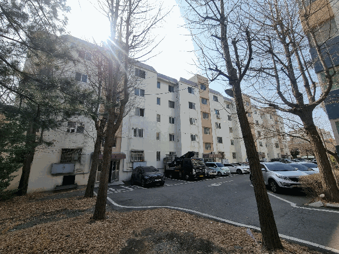 B000240202501300007435.jpg