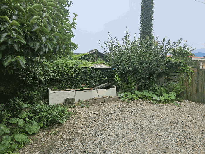 B0003202025013003154718.jpg