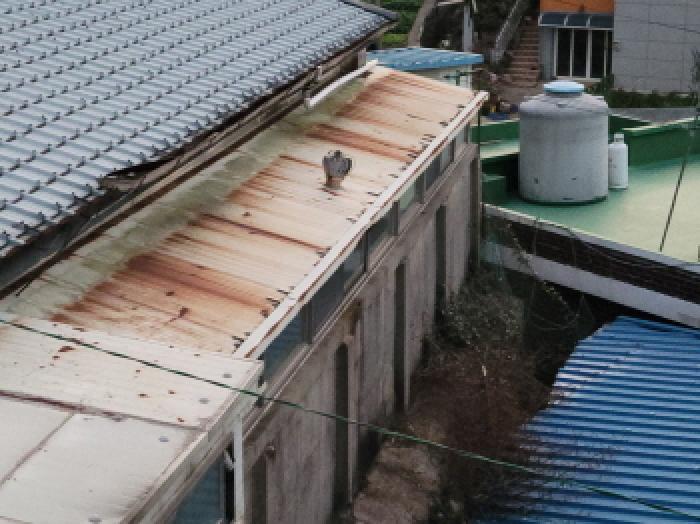 B0005132025013000069136.jpg