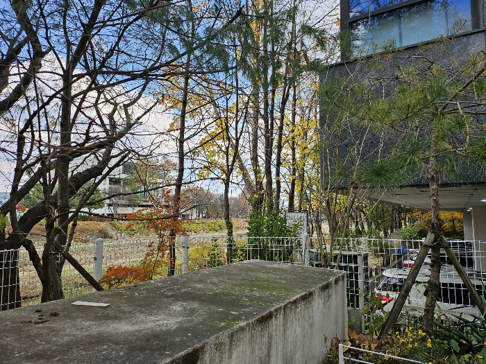 B0002802024013012230519.jpg